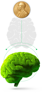 NeuroActiv6