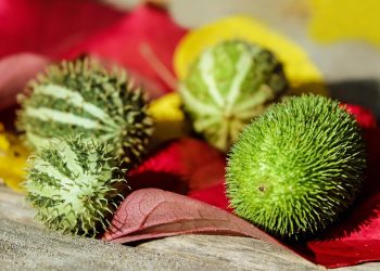 HIIT for Beginners: The Ultimate Guide (37 chars)