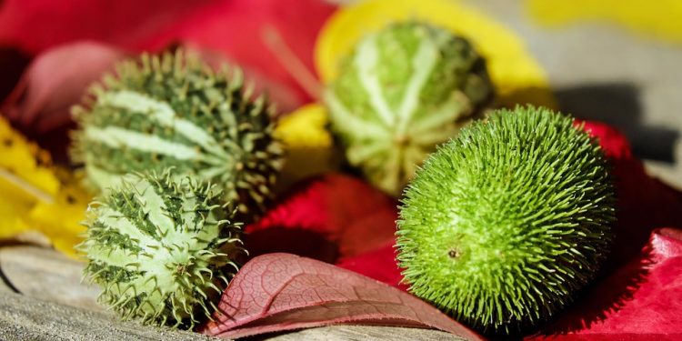 HIIT for Beginners: The Ultimate Guide (37 chars)