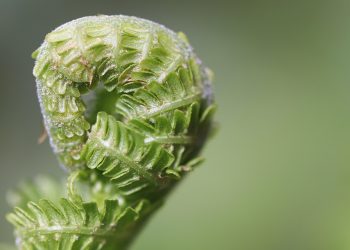 Workout Motivation Tips: Simple & Effective