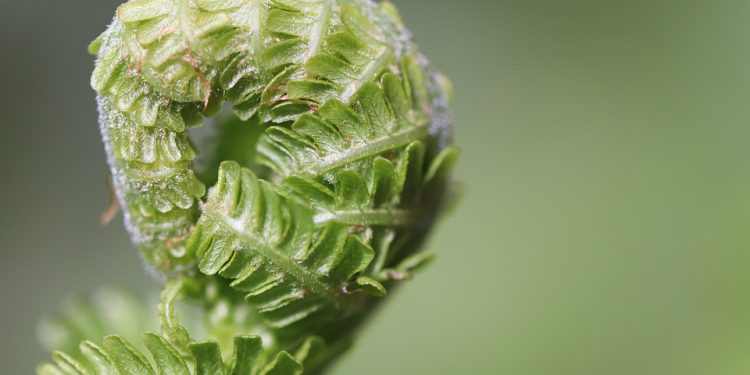 Workout Motivation Tips: Simple & Effective