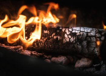 Sculpt & Burn: Fat Burning Workouts That Work