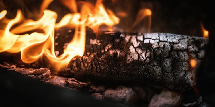 Sculpt & Burn: Fat Burning Workouts That Work