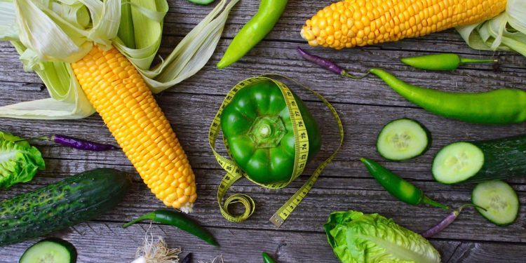 The Best Intermittent Fasting Plan: A Quick Start