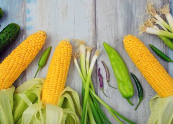 Simple Weight Loss: A Beginner’s Roadmap