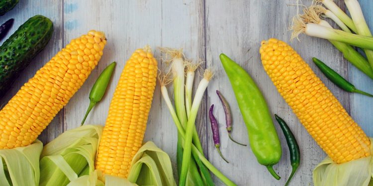 Simple Weight Loss: A Beginner’s Roadmap