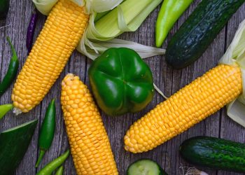 Fat Loss vs Weight Loss: The Healthy Approach