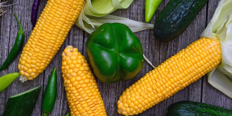 Fat Loss vs Weight Loss: The Healthy Approach