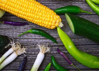 Daily Weight Loss Routine: Fast & Easy Steps