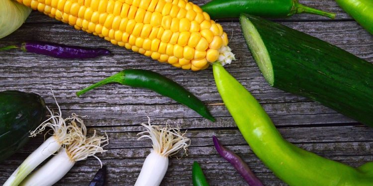 Daily Weight Loss Routine: Fast & Easy Steps