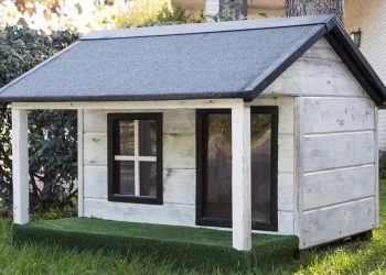 HIIT for Beginners: Your First Workout (38 chars)