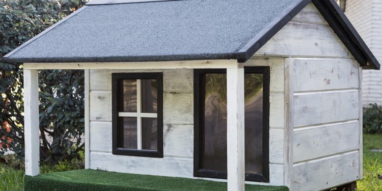 HIIT for Beginners: Your First Workout (38 chars)