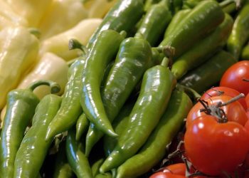 Lose Weight Daily: A Quick Routine You’ll Love