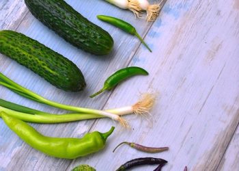 Losing Weight Safely: Your Weekly Plan