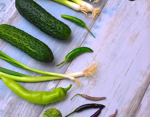 Losing Weight Safely: Your Weekly Plan