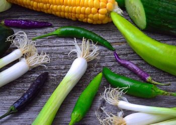 How to Lose Weight Fast: Diet & Exercise Secrets