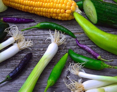 How to Lose Weight Fast: Diet & Exercise Secrets