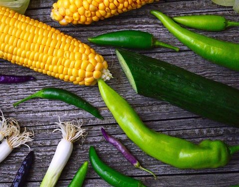 Calorie Deficit: Explained for Beginners